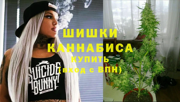 сатива Абаза